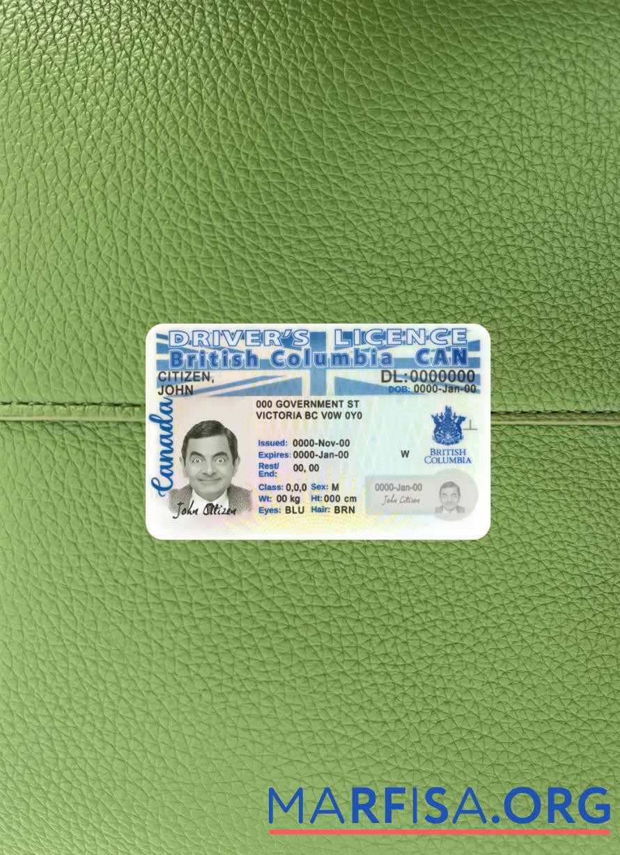 Printable Canada British Columbia driving license new version photolook download for verification